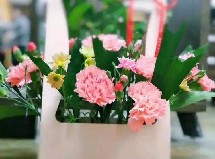 關(guān)愛母親|柏坡溫泉為您守護愛的溫度