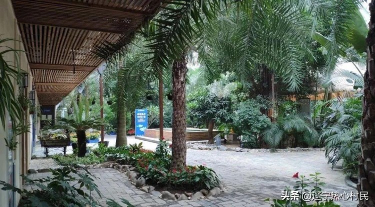 情侶|最有逼格的情侶約會(huì)圣地——宗裕金湯溫泉水世界