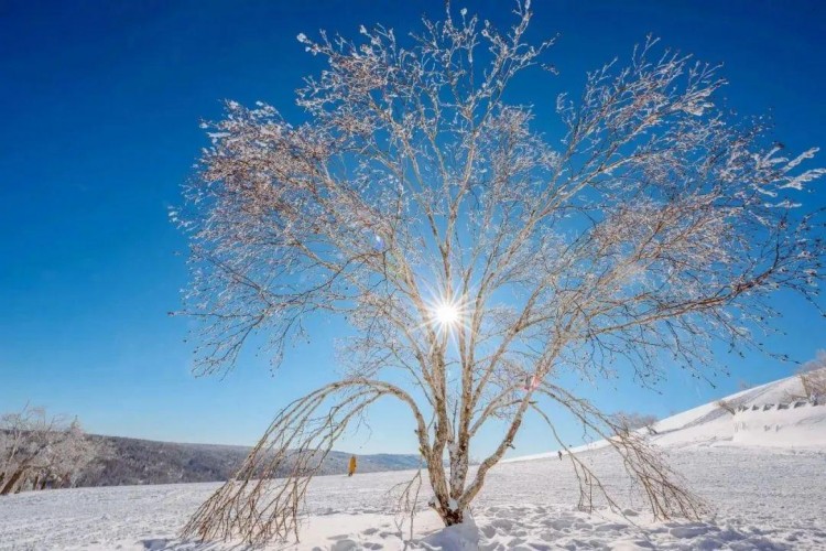 線路推薦|來哈爾濱開啟一場中國雪鄉(xiāng)-亞布力穿越自駕之旅！