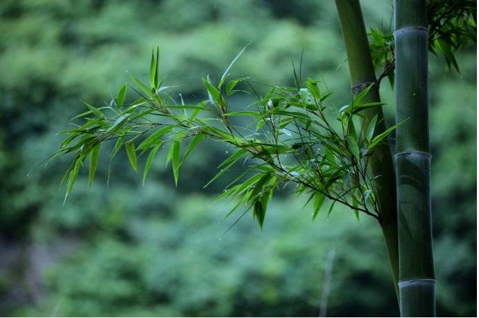來鎮(zhèn)安轉(zhuǎn)轉(zhuǎn)給肺做個SPA