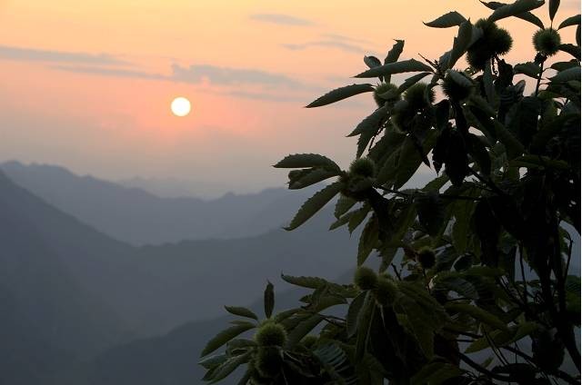 來鎮(zhèn)安轉(zhuǎn)轉(zhuǎn)給肺做個SPA