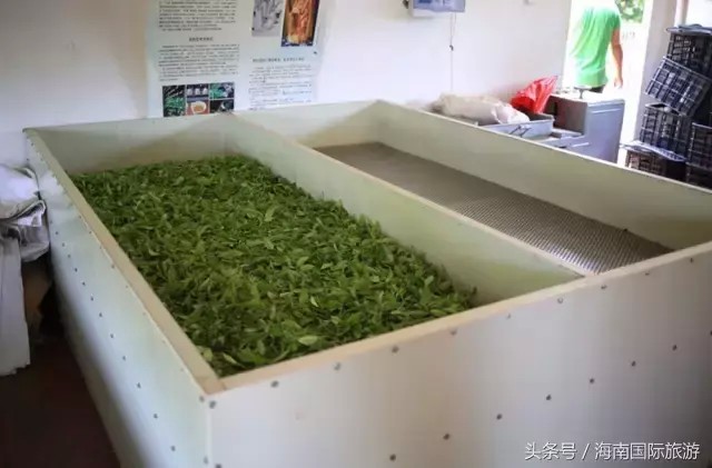 健瑞兒親子文化：享天然冷泉SPA給您一個(gè)不一樣的母親節(jié)