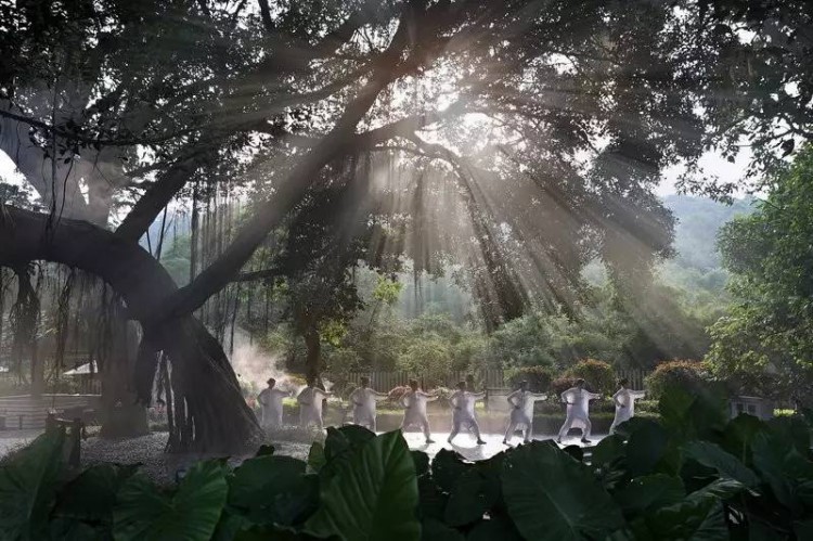 免費體驗|去安溪悅?cè)叙^參禪吃茶