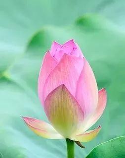 五月出游季，黔南這個(gè)即將爆火的網(wǎng)紅打卡地，趁著人少，我們免費(fèi)帶你去！
