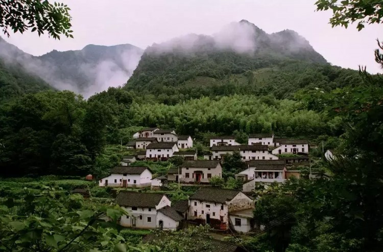 風景秀麗，來石臺仙寓山為身心做一個“森林浴”SPA
