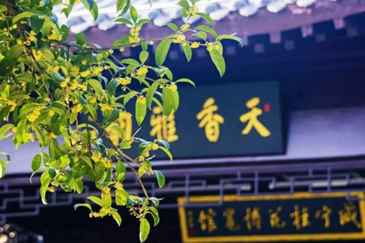 中國溫泉之城這9家溫泉記得收藏！等下雪就來泡~