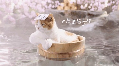 中國溫泉之城這9家溫泉記得收藏！等下雪就來泡~
