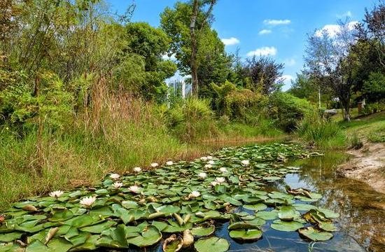 貴陽(yáng)一日游方案攻略11羊昌花畫小鎮(zhèn)――保利國(guó)際溫泉