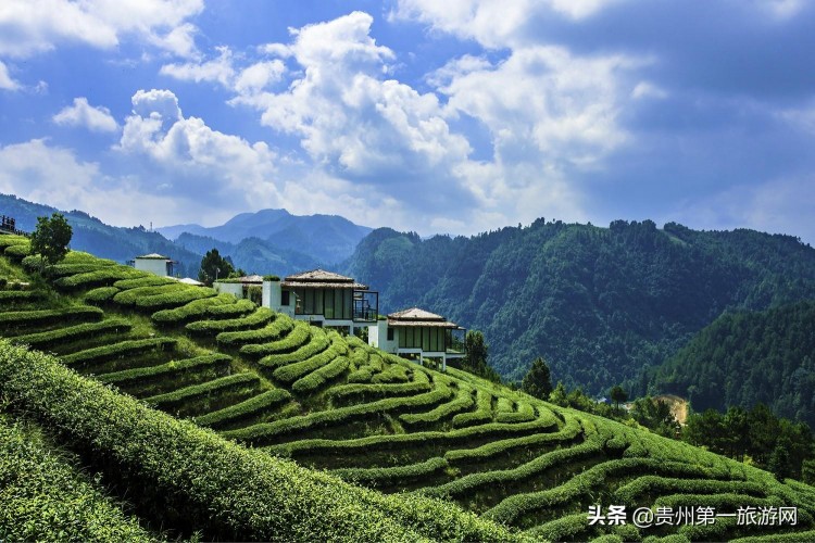 西南門(mén)戶秀美獨(dú)山：來(lái)這里做個(gè)天然生態(tài)SPA
