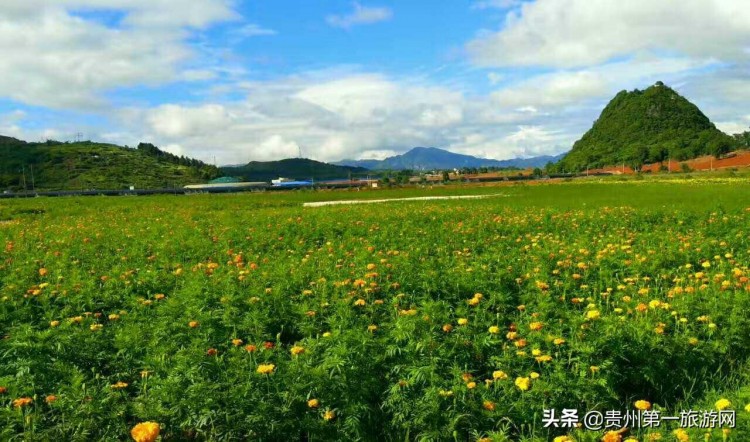 西南門(mén)戶秀美獨(dú)山：來(lái)這里做個(gè)天然生態(tài)SPA