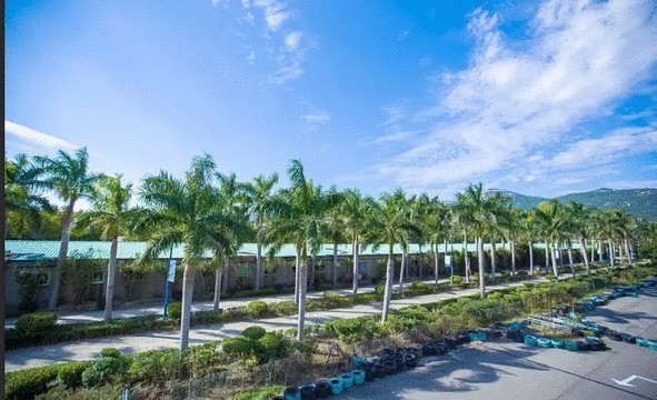 大融山石出溫湯療治百病暢游福州這處文獻(xiàn)名邦享海水溫泉
