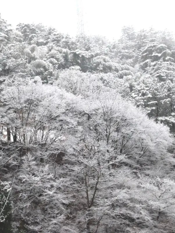 湖北省內(nèi)唯一可以滑雪泡溫泉的寶藏小縣城一到冬天簡(jiǎn)直美翻