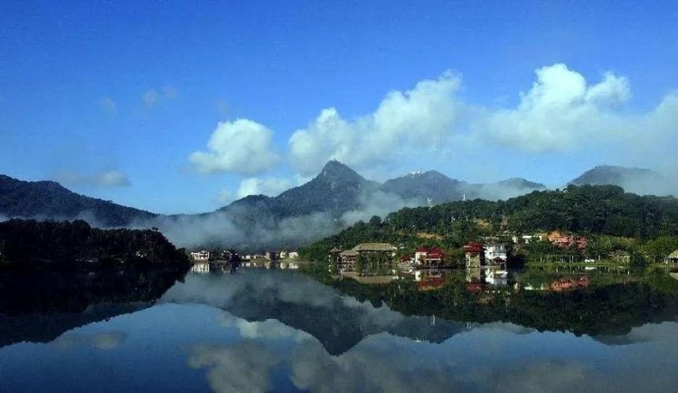 向YANG而行玩轉(zhuǎn)不一樣的海南