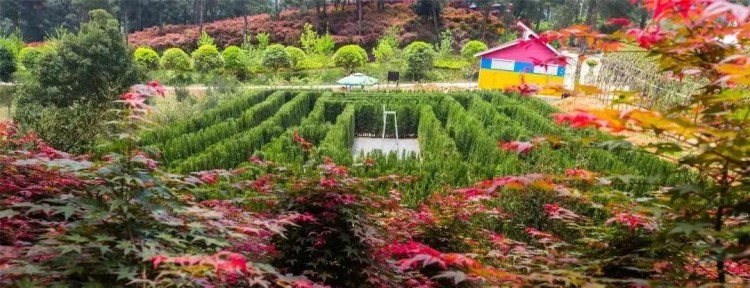 五一游烏當(dāng)|美景美食趣味活動這條歡樂假期五日游線路將承包你的整個五一節(jié)！