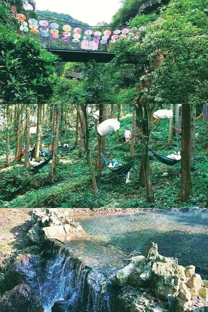 入選湖南首批中醫(yī)藥康養(yǎng)旅游省級(jí)示范體驗(yàn)基地邵陽(yáng)這三處景區(qū)牛了！