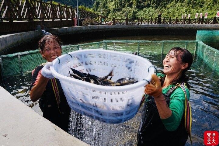 多彩貴州水·梵凈抹茶香｜天然好水潤(rùn)黔東