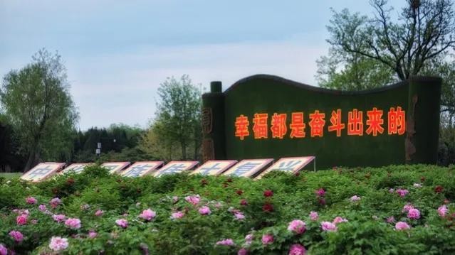 男子住酒店女技師上門推銷50元的洗腳按摩服務(wù)但結(jié)果竟然出人意料