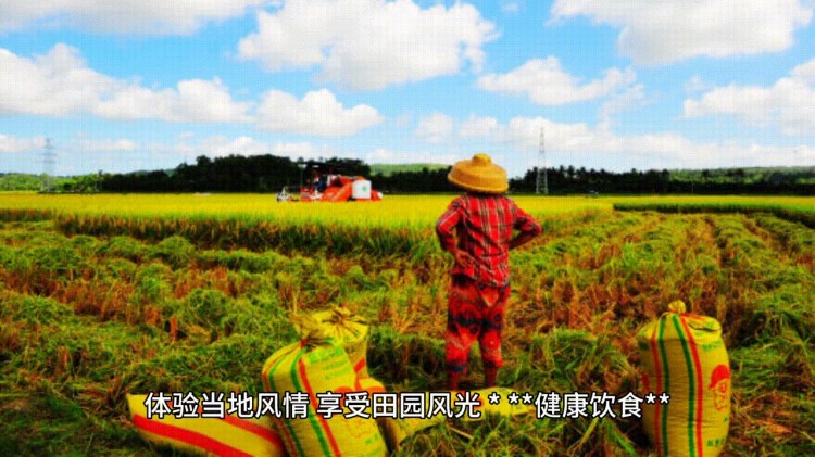 以下內(nèi)容可參考海南康養(yǎng)旅游攻略： * **住宿選擇**