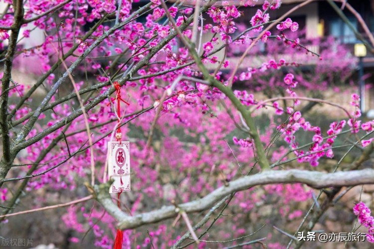 三月份旅游最佳地方江西10個(gè)值得去的景點(diǎn)