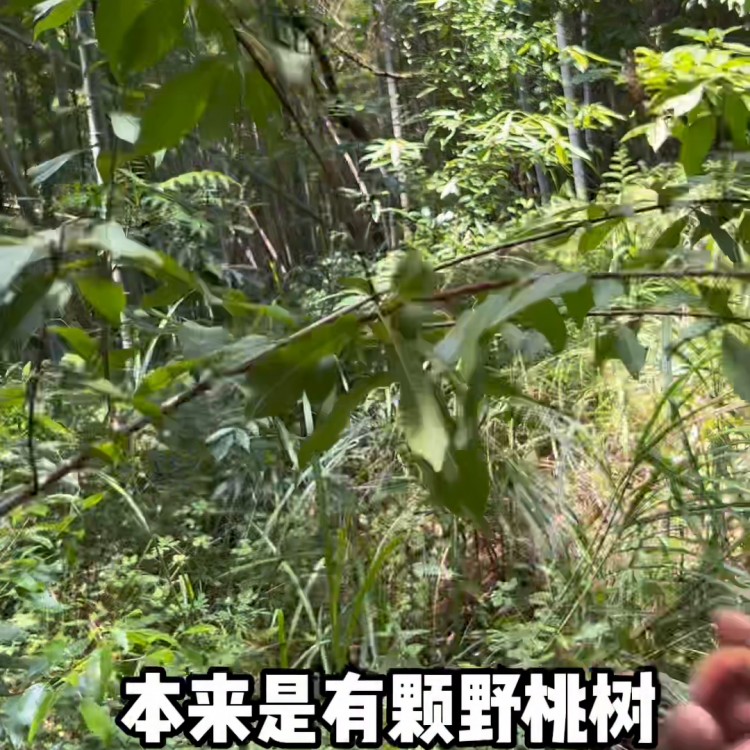 今日到大自然會(huì)所做spa，有沒有朋友要在一起？#周邊游