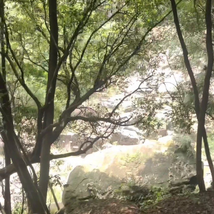 今天去大自然會(huì)所做spa有朋友要一起嗎#周邊游