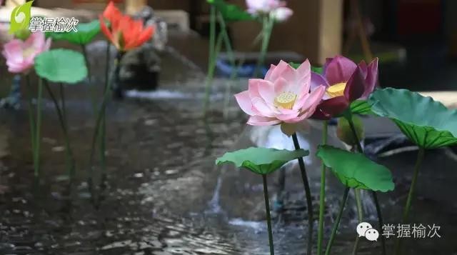 晉妞帶你到晉中市榆次頤景水宮晉韻軒吃喝玩樂(lè)！