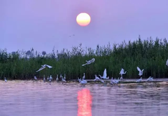 衡水湖景區(qū)及周邊景點(diǎn)網(wǎng)上售票優(yōu)惠較多